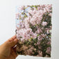 Flower Photography Art Print